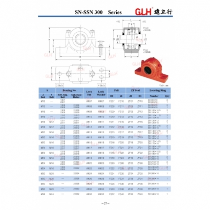 SN-SSN 300 Series_page-0004.jpg