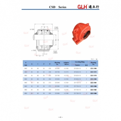 CSD  Series_page-0002-1.jpg